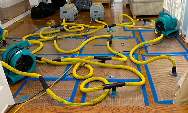 Professional Sewage Cleanup technician working in Winfield, IN